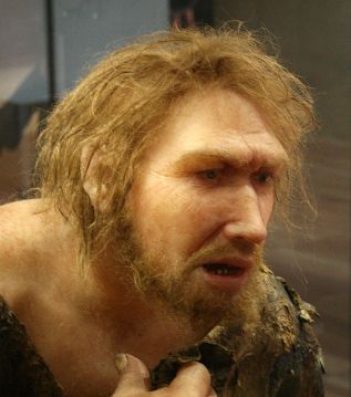 Ricostruzione di un Homo neanderthalensis (wiki)
