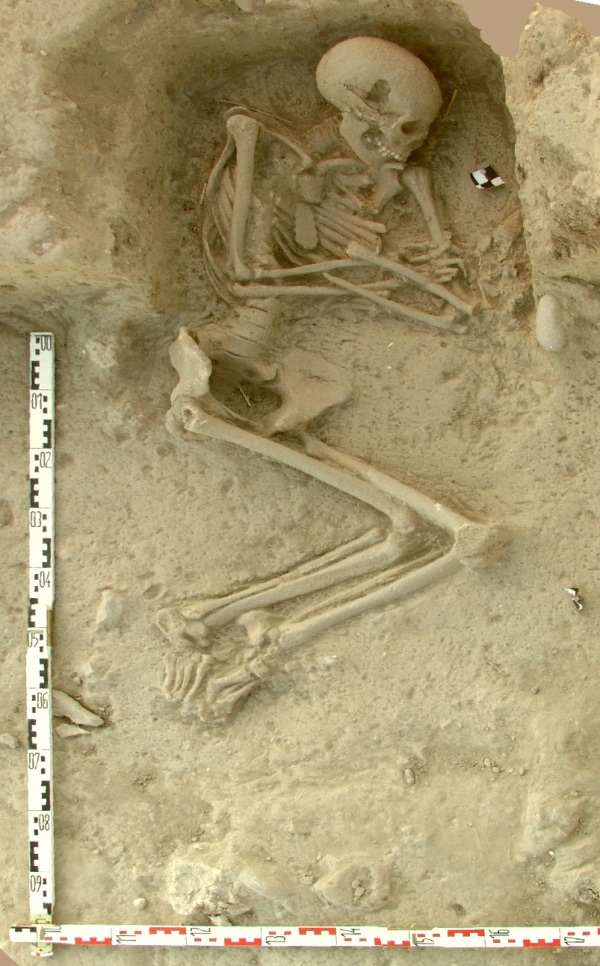     Una sepoltura nel sito di Paliambela, in Grecia (K. Kotsakis and P. Halstead, Paliambela Excavation Project Archive)